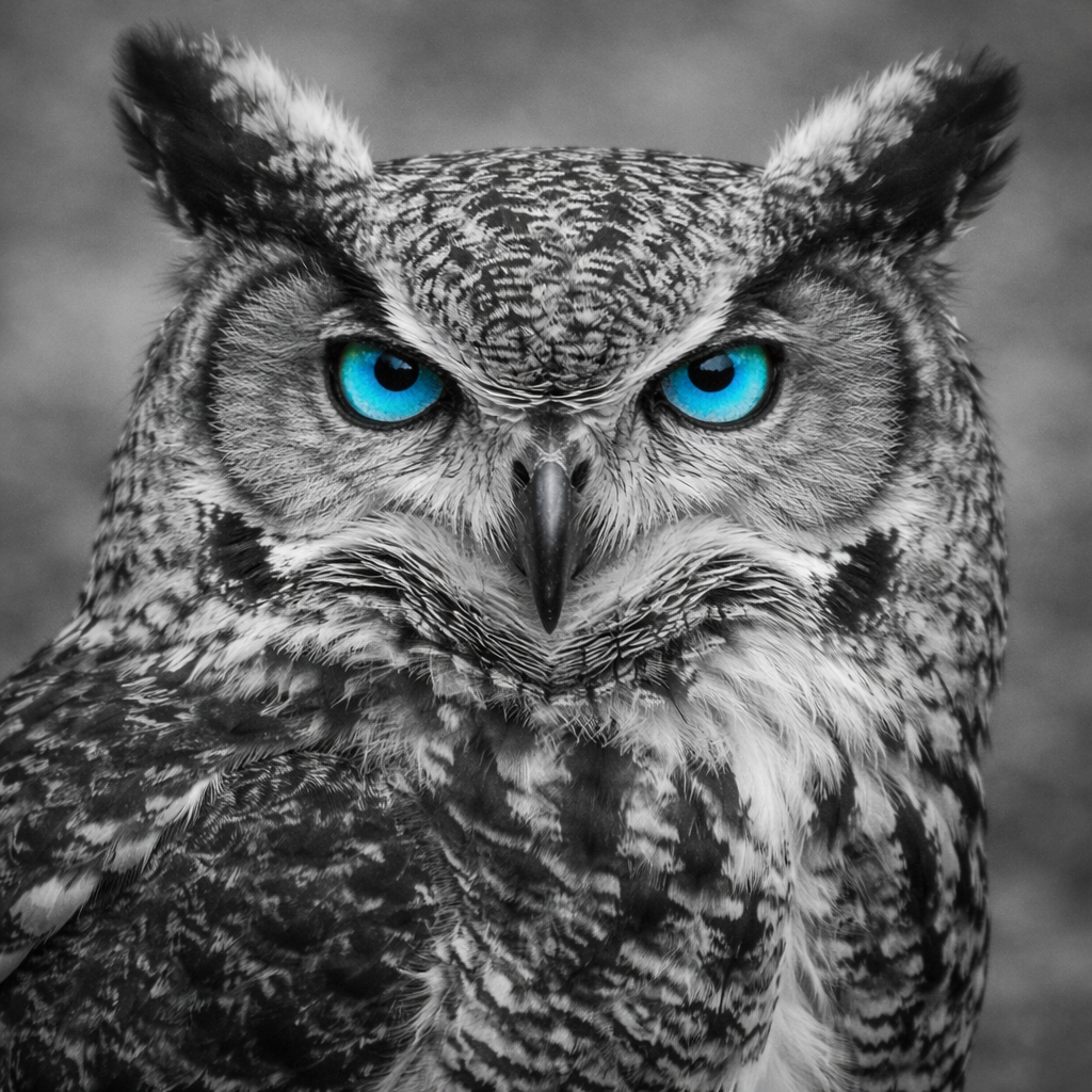 Marina Hofer (Demo) Logo